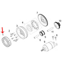 Estator (LEONCINO250 / TNT25 / TRK251)