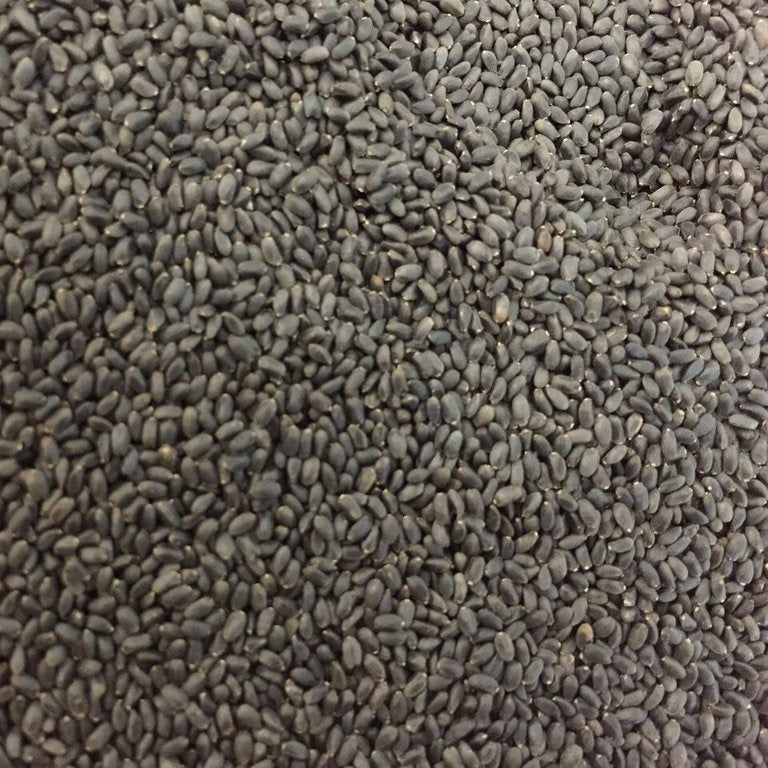 Semillas de albahaca, Lima (100% Heirloom/No Híbrido/No GMO). 60 semillas aproximadamente.