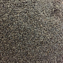 Semillas de albahaca, Lima (100% Heirloom/No Híbrido/No GMO). 60 semillas aproximadamente.