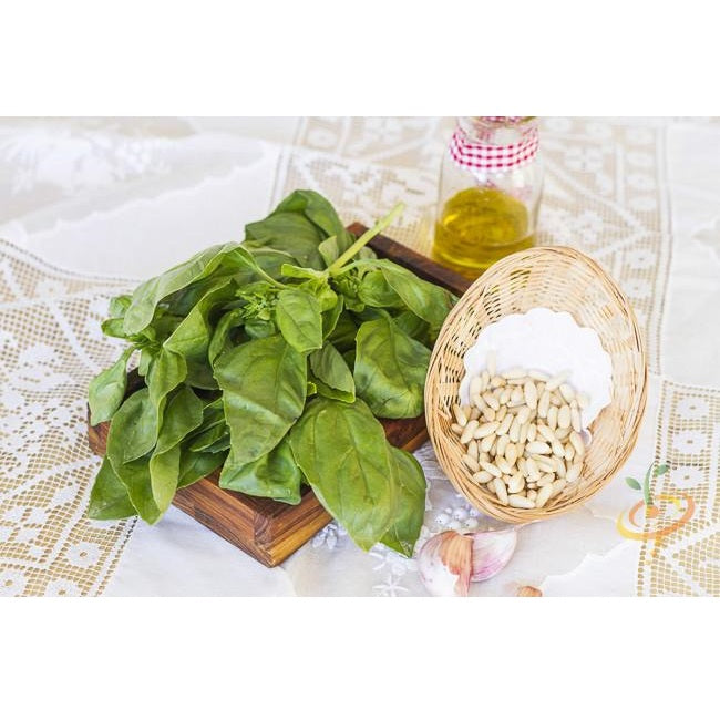 Semillas de albahaca, Lima (100% Heirloom/No Híbrido/No GMO). 60 semillas aproximadamente.