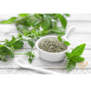 Semillas de albahaca, Lima (100% Heirloom/No Híbrido/No GMO). 60 semillas aproximadamente.