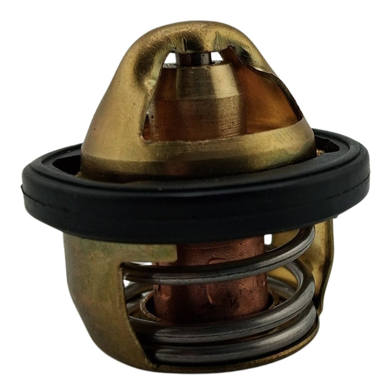 Termostato (TNT25 / TRK251 / LEONCINO250 / 302S / LEONCINO500 / TRK502X / ZAFFERANO250)