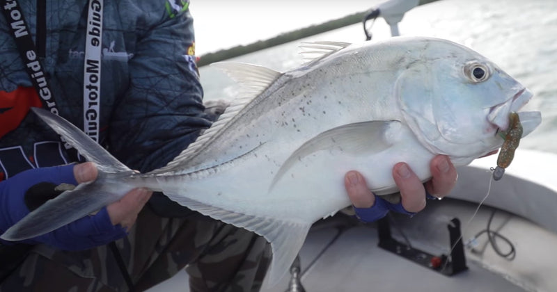 Caja 101 Pzas. Señuelos anzuelos ganchos pinza