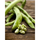 Semillas de habas, Broad Windsor (100% Heirloom/No híbrido/No GMO). 15 semillas aprox.