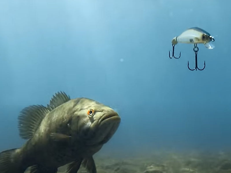 Caja 101 Pzas. Señuelos anzuelos ganchos pinza