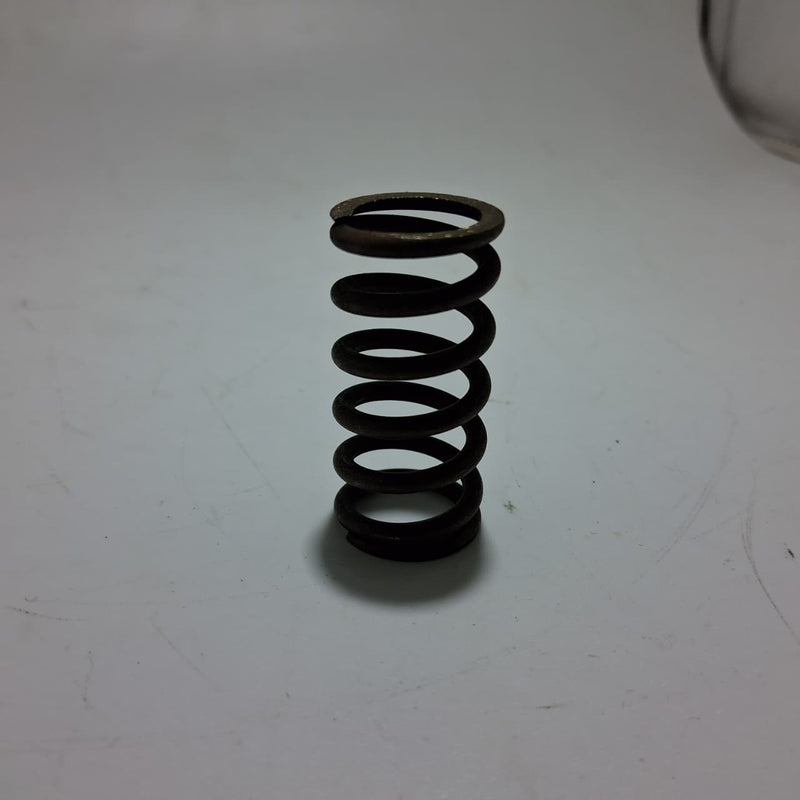 Resorte del embrague (LEONCINO500 / TRK502X / TNT600)