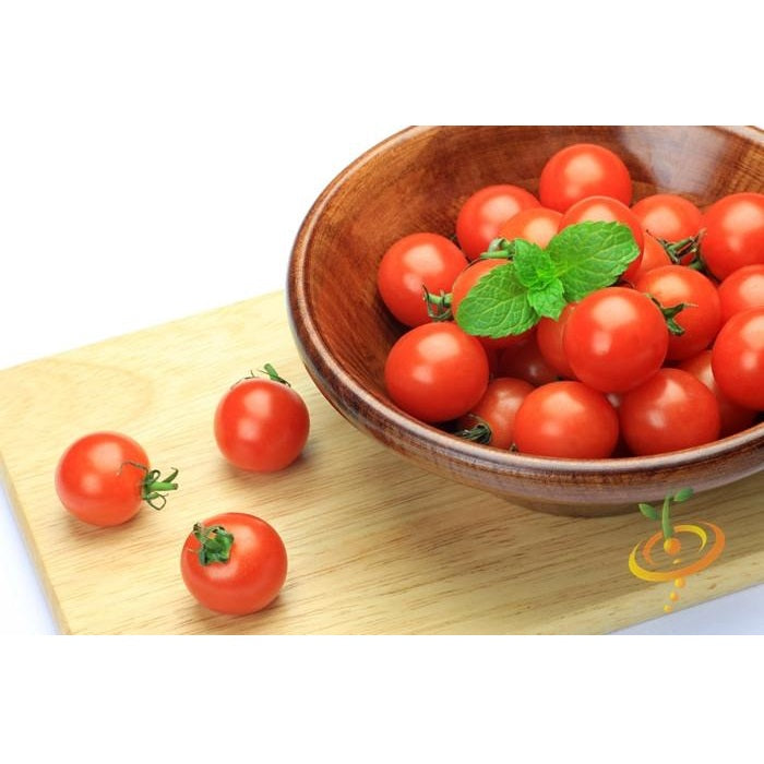 Semillas de tomate cherry, Tiny Tim (100% Heirloom/No Híbrido/No GMO). 15 semillas aproximadamente