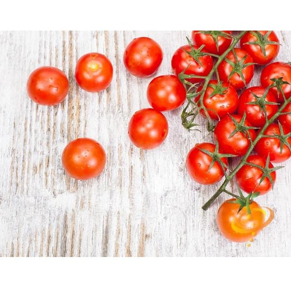 Semillas de tomate cherry, Tiny Tim (100% Heirloom/No Híbrido/No GMO). 15 semillas aproximadamente