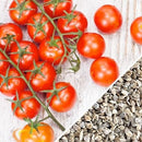 Semillas de tomate cherry, Tiny Tim (100% Heirloom/No Híbrido/No GMO). 15 semillas aproximadamente