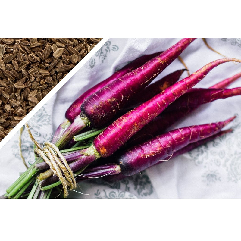 Semillas de zanahoria morada. 100 semillas aproximadamente.