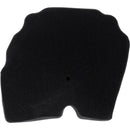 Filtro de aire (TRK502X)