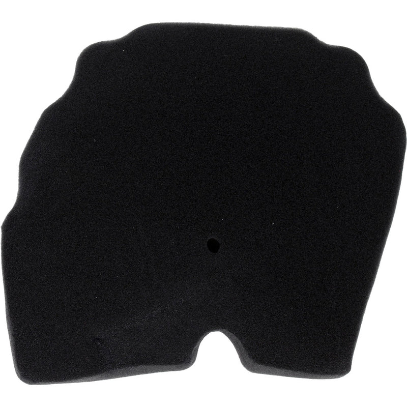 Filtro de aire (TRK502X)