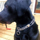 Collar de acero inoxidable para entrenamiento de Perros.