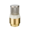 Válvula de pie check con resorte, filtro de acero inoxidable de 1" NESSATI