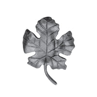 Hojas - Flores