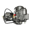 Motor QJ150-29B (TNT150)