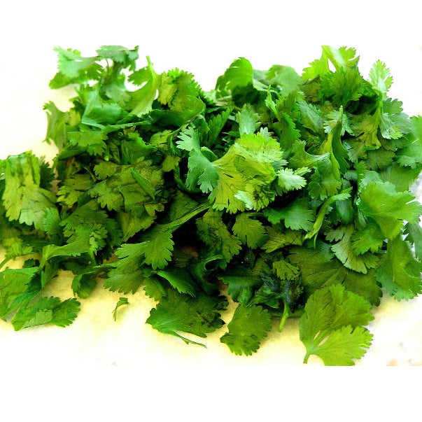 Semillas de cilantro (100% Heirloom/No Híbrido/No GMO). 500 semillas aproximadamente.