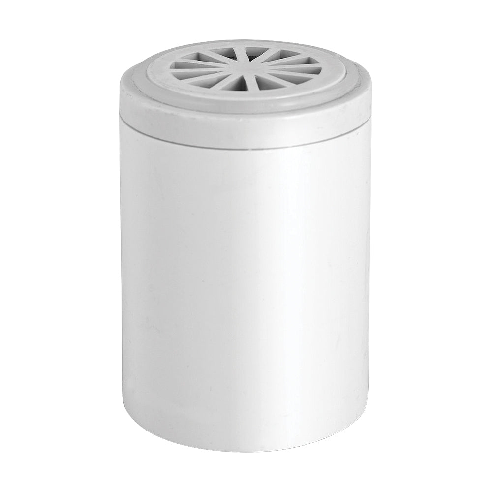 SF-02G filtro de recambio para ducha. Cambiar cada 6 meses Beauty Shower