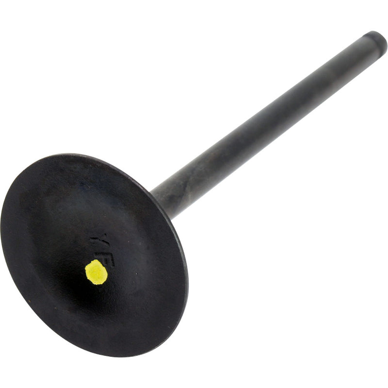 Valvula de admision (TX200)