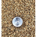 Semillas de tomate cherry negro (100% Heirloom / No Híbrido / No GMO). 15 semillas aproximadamente.