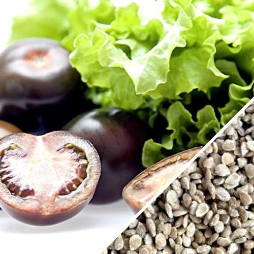 Semillas de tomate cherry negro (100% Heirloom / No Híbrido / No GMO). 15 semillas aproximadamente.