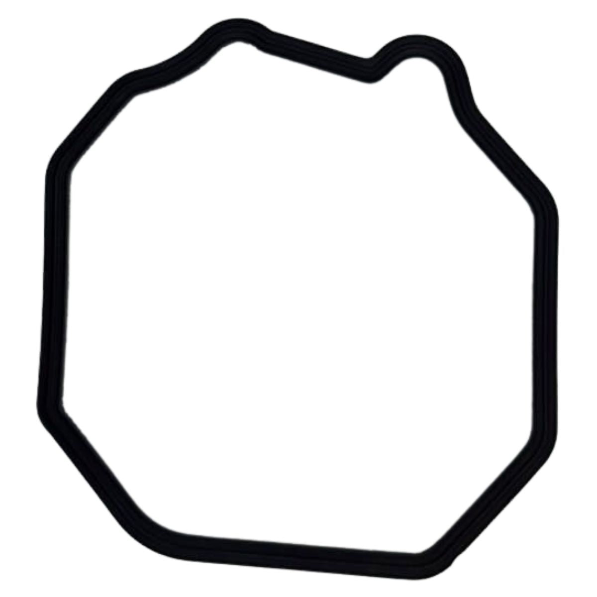 Empacadura de la tapa de cilindro (TNT135)