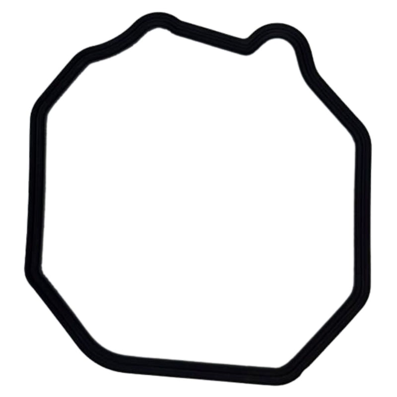 Empacadura de la tapa de cilindro (TNT135)
