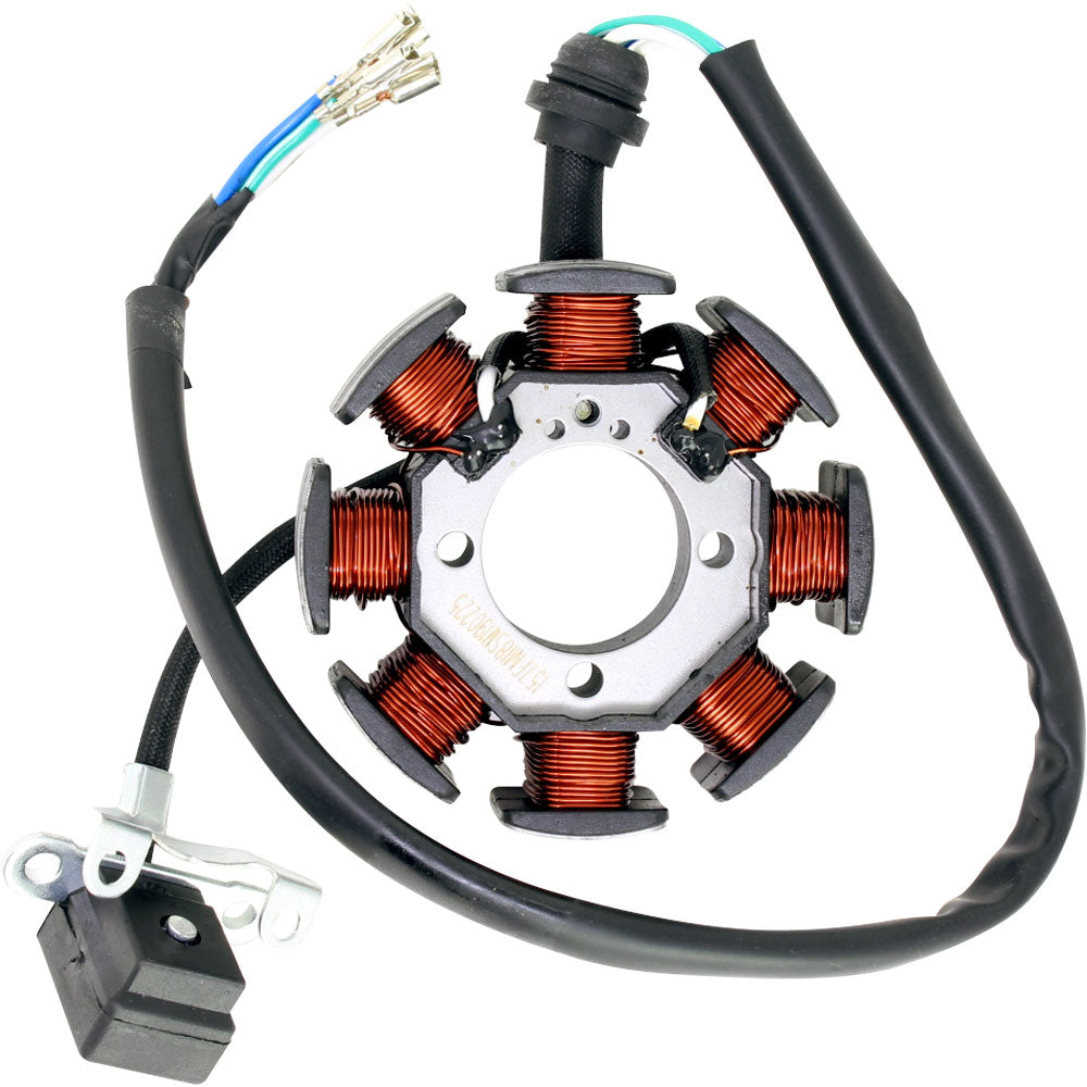 Estator (RKG150 / TX200) (CODIGO NUEVO 299033070070)