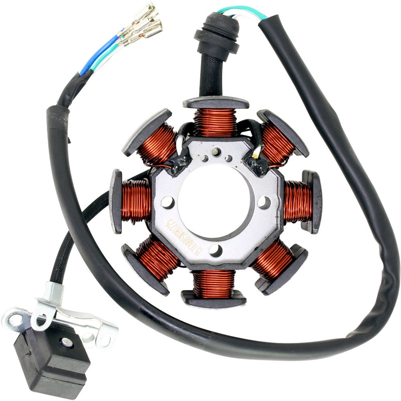 Estator (RKG150 / TX200) (CODIGO NUEVO 299033070070)