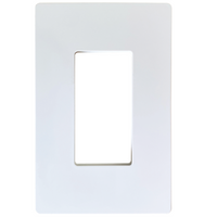 Tomacorrientes e Interruptores