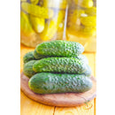 Semillas de pepinillos organicos (100% Heirloom / No híbrido / No GMO). 10 semillas aproximadamente.