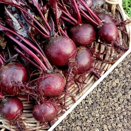 Semillas de remolacha (100% Heirloom / No Híbrido / No GMO). 20 semillas aproximadamente.