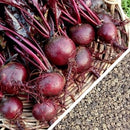 Semillas de remolacha (100% Heirloom / No Híbrido / No GMO). 20 semillas aproximadamente.