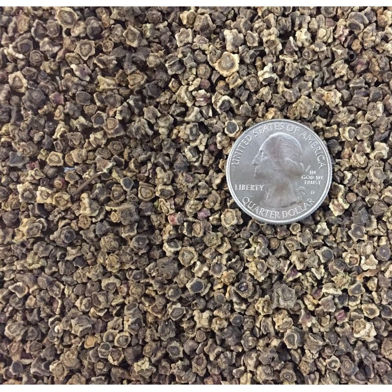 Semillas de remolacha (100% Heirloom / No Híbrido / No GMO). 20 semillas aproximadamente.