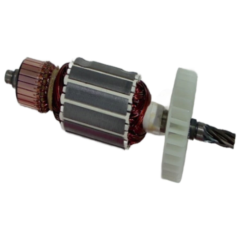 Rotor (WSP01094003) Armature