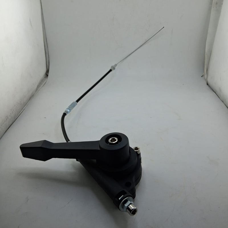 Conjunto de palanca del acelerador (WSP02038021) Throttle Lever Assembly