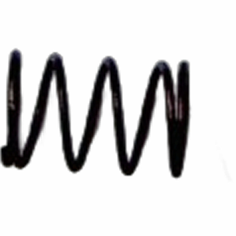 Resorte de bloqueo (WSP01066005) Lock Spring