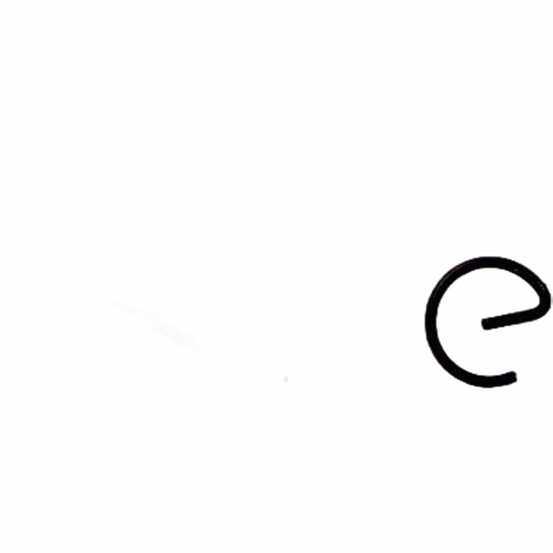 Clip de Pin de Piston (WSP02017072) Clip