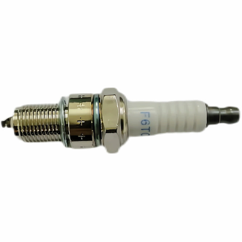 Bujia (WSP02017098) Spark Plug