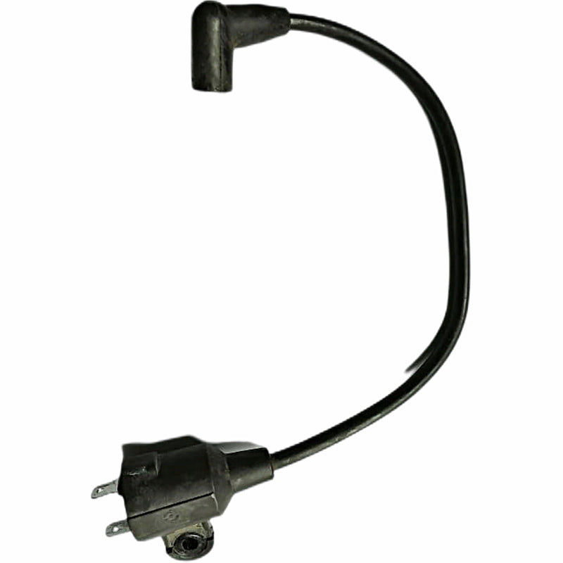 Coil de ignicion (WSP02017099) Ignition Assembling