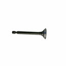 Valvula de escape (WSP02013015) EXHAUST VAVLE