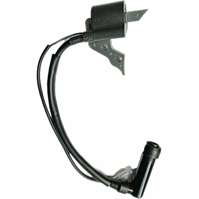 Coil de ignicion (WSP02013093) Ignition coil