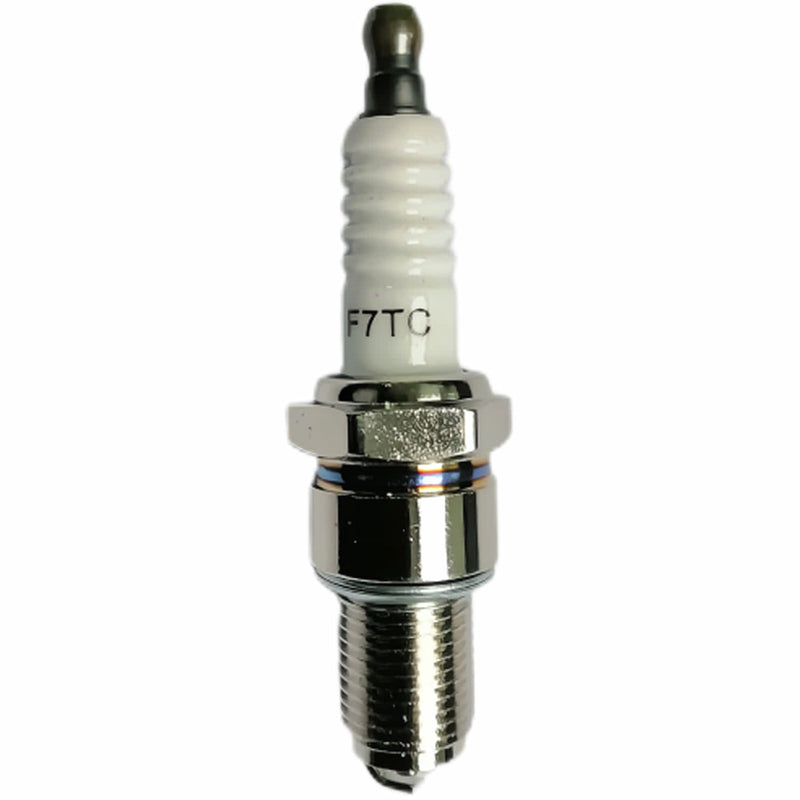 Bujia (WSP02020029) Spark  Plug