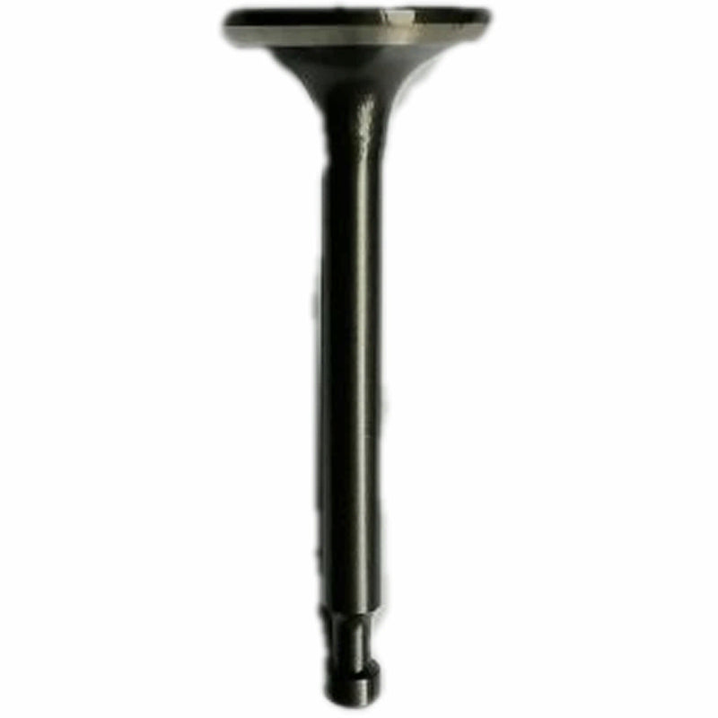 Valvula de Escape (WSP02020030) Exhaust  Vavle