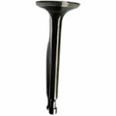 Valvula de Admision (WSP02020031) Intake  Vavle