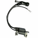 Coil de Ignicion (WSP02020051) Ignition Coil