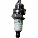 Bujia (WSP0210040) Spark Plug