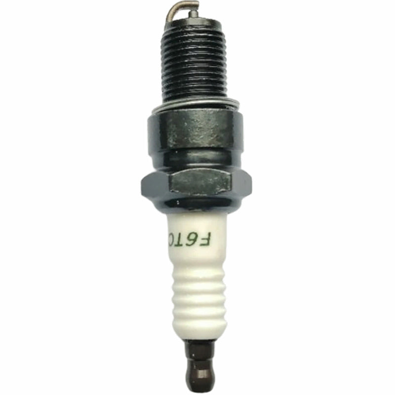 Bujia (WSP02015055) Spark Plug