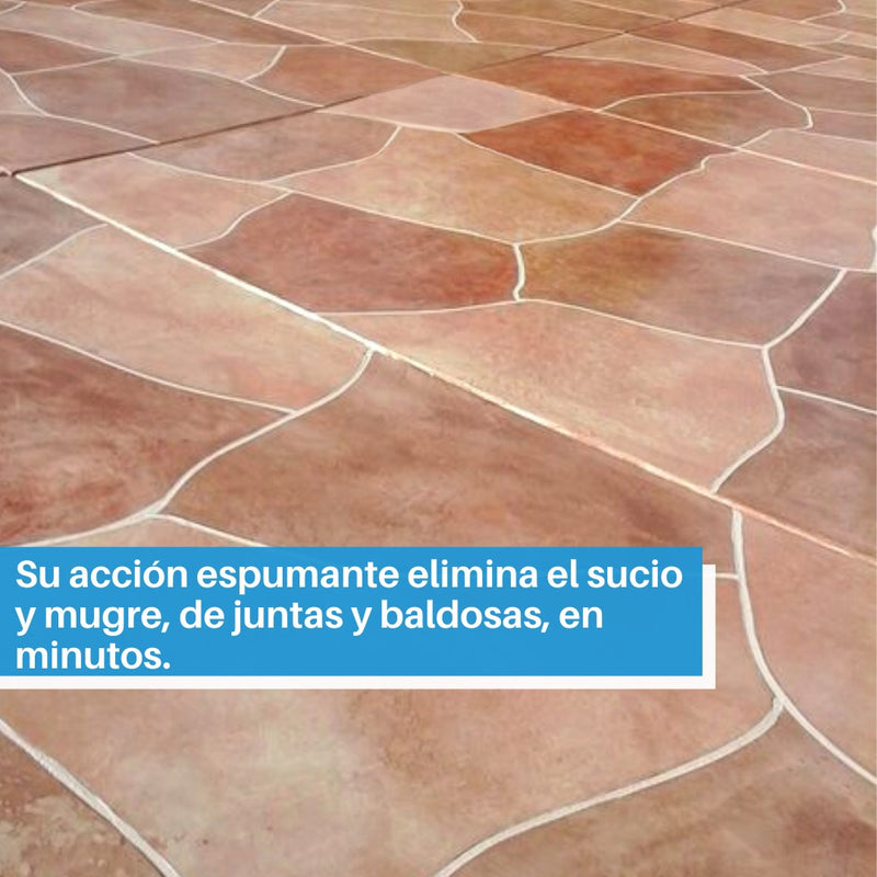 Limpiador desinfectante LPC-85 para ceramica y porcelana, 1 Galon.