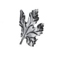 Hojas - Flores